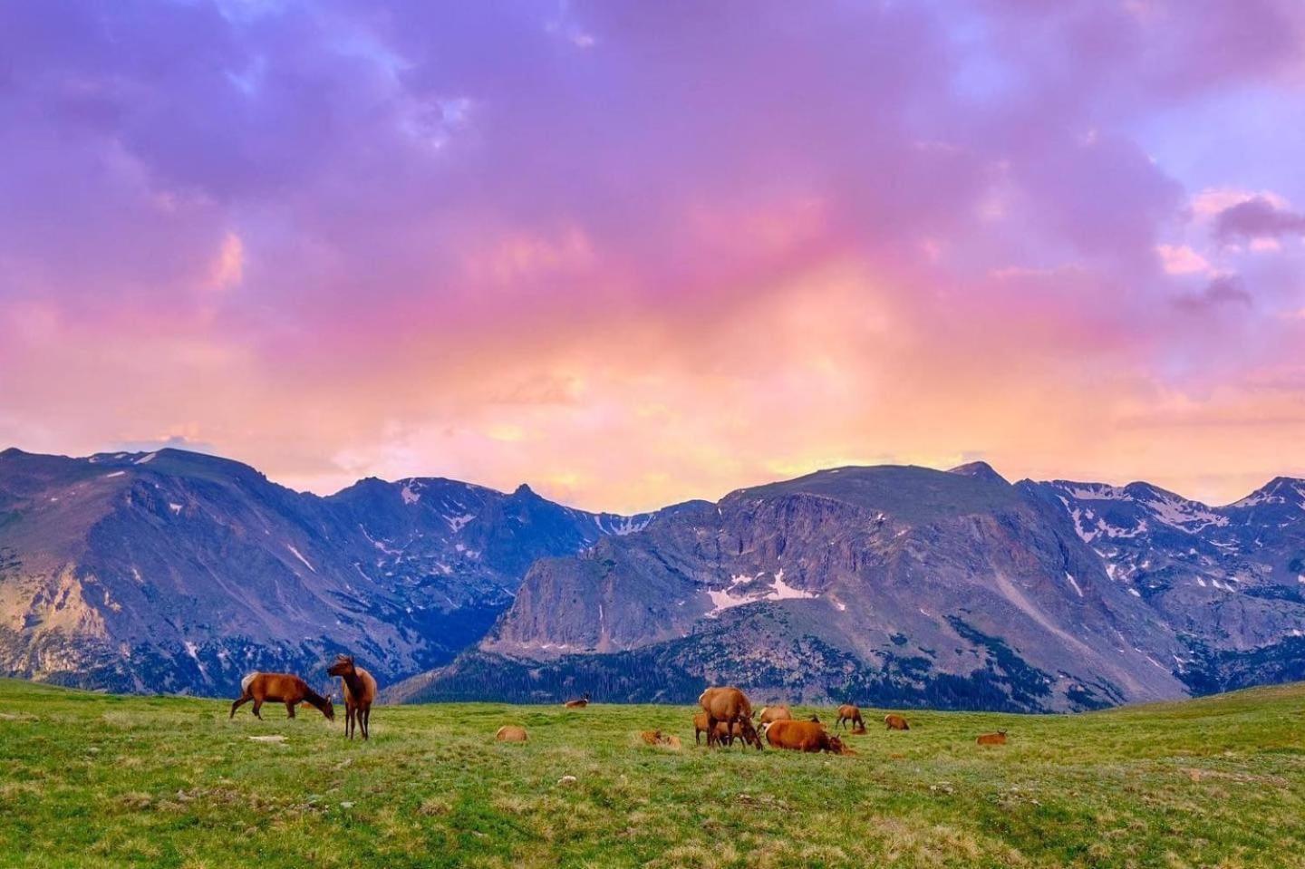 Frontier Mountain Retreat - Monthly Long-Term Vacation Rental 30 Days Minimum -- Estes Park Apts Eksteriør billede