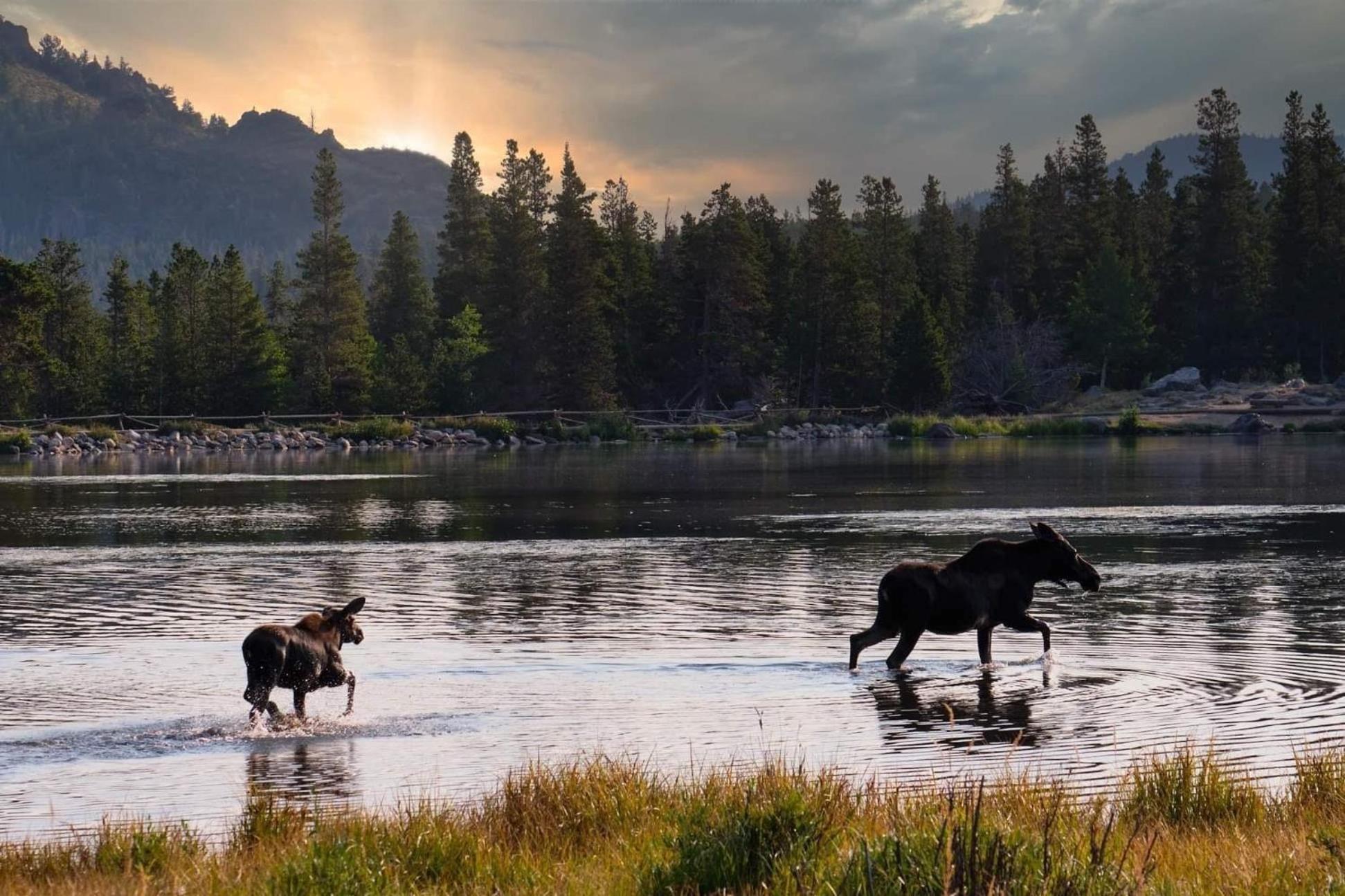 Frontier Mountain Retreat - Monthly Long-Term Vacation Rental 30 Days Minimum -- Estes Park Apts Eksteriør billede